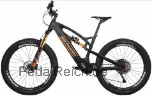 Dengfu M09  technische daten 